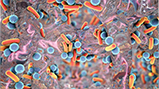 Article Biofilm Png